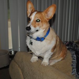 Meet your Posher, Kay